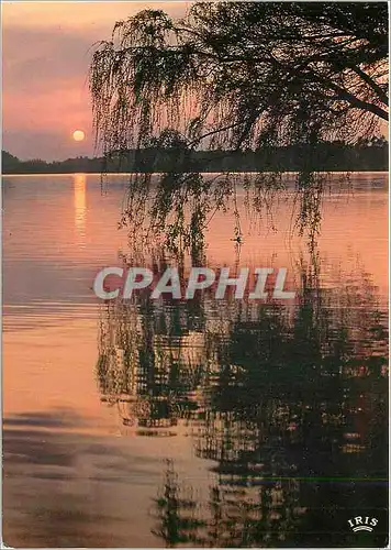 Cartes postales moderne L'etang reflete Profond miroir La silhouette