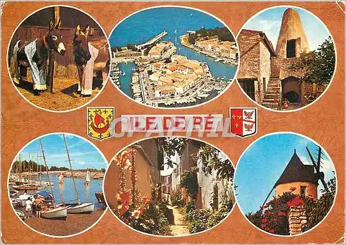 Cartes postales moderne Ile de Re Ch Mme