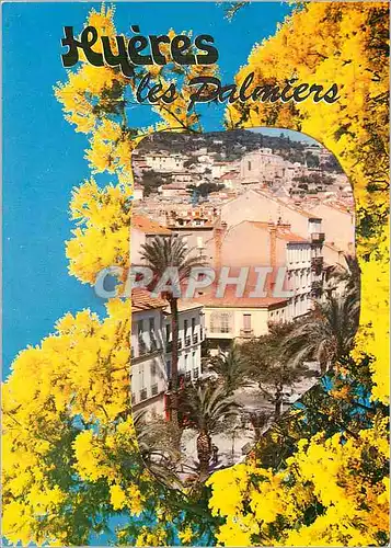 Cartes postales moderne Hyeres les Palmiers Ave Gambetta