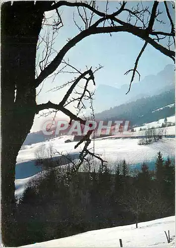 Cartes postales moderne St Hilaire du Touvet Isere Les Cretes Vue prise du plateau des Petites Roches