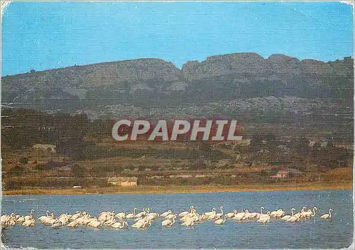 Cartes postales moderne Lumiere et Couleurs de l'Agde Le massif de la Clupe