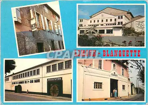 Cartes postales moderne Limoux Capitale de la Blanquette