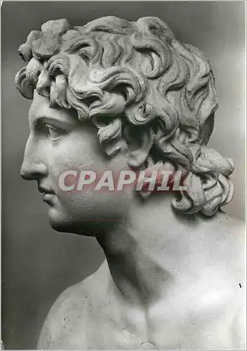 Cartes postales moderne Munchen Glyptothek Alexander Romische Kopie nac einem WEk des Euphranor