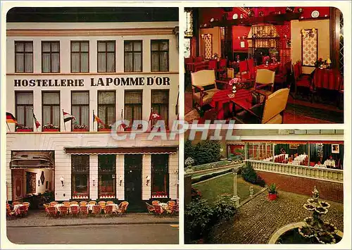 Moderne Karte La Pomme d'Or hostellerie Oudenaarde