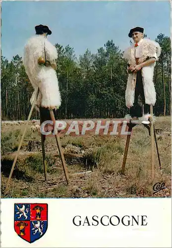 Cartes postales moderne Les Grandes Landes Berges sur echasses gardant leur troupeau