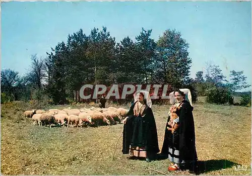 Cartes postales moderne Le Limousin Pittoresque Folklore