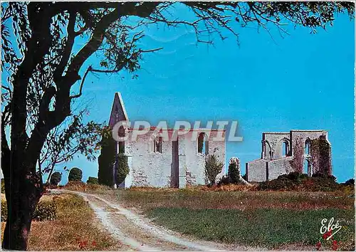 Cartes postales moderne Ile de Re Char Marit Ruines de l'ancienne Abbaye