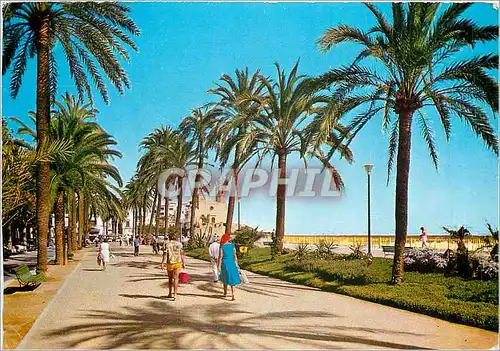 Cartes postales moderne Sitges Paseo de la Ribera