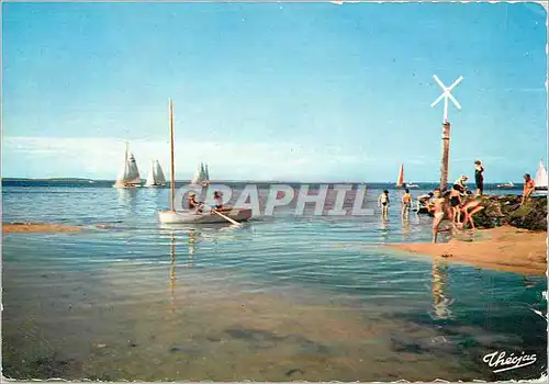 Cartes postales moderne Bassin d'Arcachon Les Regates