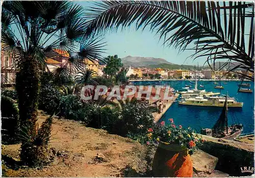 Cartes postales moderne Sanary sur Mer Var Une echappee sur le Port