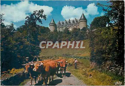 Cartes postales moderne La Haute Vienne Pittoresque Le Chateau de Rochechouart B�ufs Attelage