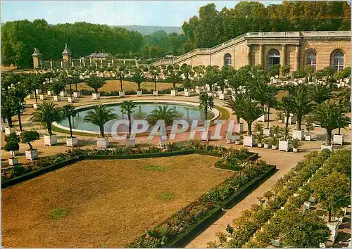 Cartes postales moderne Le Chateau de Versailles Le Parterre de la Grande Orangerie et le Bassin