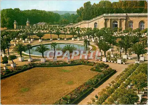 Moderne Karte Le Chateau de Versailles Le Parterre de la Grande Orangerie et le Bassin
