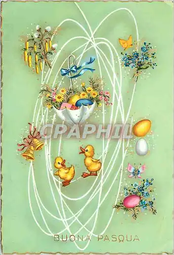 Moderne Karte Buona Pasqua Canards