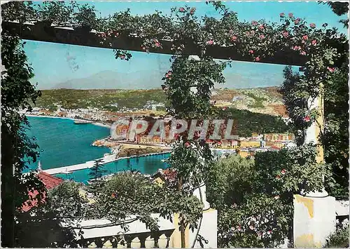 Cartes postales moderne La Cote d'Azur Nice Vue Generale entre les Pergolas