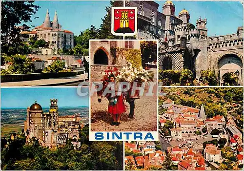 Cartes postales moderne Sintra Ane Mule