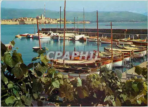 Cartes postales moderne La Cote d'Azur miracle de la nature Antibes Alpes Maritimes Petit port sur la route du Cap d'Ant