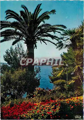 Cartes postales moderne Reflets de la Cote d'Azur Paysage Mediterraneen