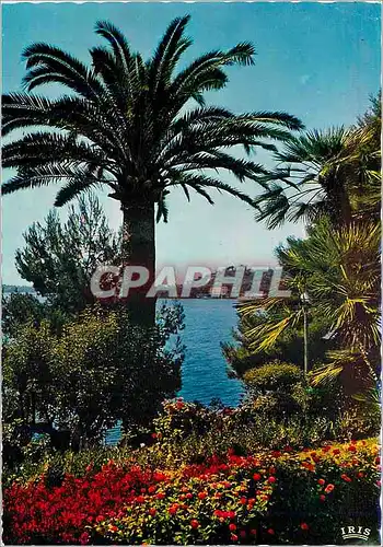 Moderne Karte Reflets de la Cote d'Azur Paysage Mediterraneen