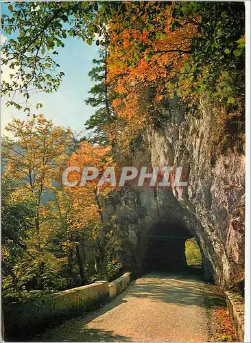 Cartes postales moderne Les Alpes touristiques en Chartreuse Route du Desert en automne