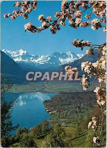 Cartes postales moderne Sarnersee mit Giswil Wetterhorn und Schwarzhorngruppe