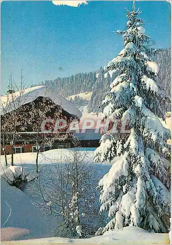 Cartes postales moderne L'hiver dans les Alpes Chalet sous la neige