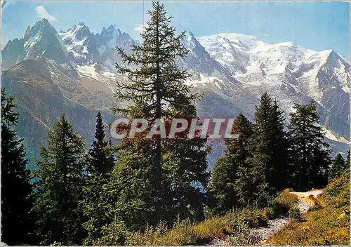 Cartes postales moderne Chamonix Mont Blanc Hte Savoie Depuis la Flegere panorama sur le massif du Mont Blanc