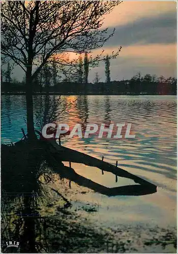 Cartes postales moderne Au Pays Landais J'aime un grand lac d'argent profond et clair miroir ou se regardent les nuees
