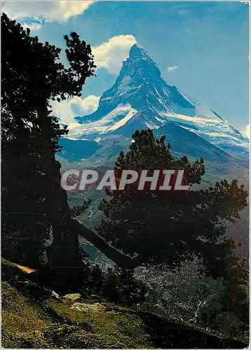Cartes postales moderne Riffelalp bei Zermatt Bergarve Arole