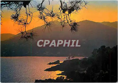 Cartes postales moderne Cote d'Azur Coucher de soleil