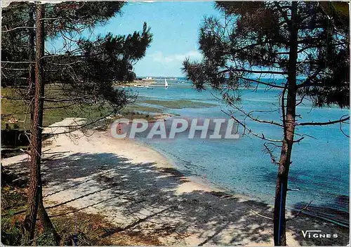 Cartes postales moderne Visages des Landes Douceur de nos Lacs