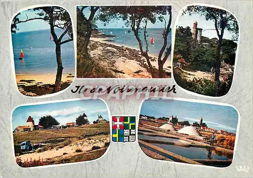 Cartes postales moderne Ile de Noirmoutier Vendee Le Bois de la Chaize
