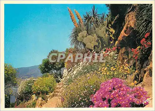Cartes postales moderne La Cote d'Azur miracle de la nature Jardin Fleuri de la Cote d'Azur