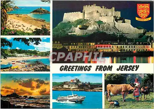 Cartes postales moderne Greetings from Jersey