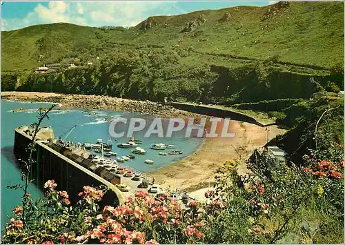 Cartes postales moderne Bonne Nuit Bay Jersey