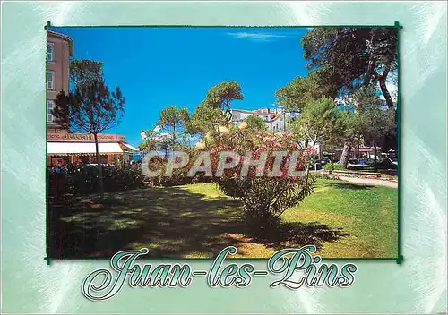 Cartes postales moderne Juan les Pins Alpes Maritimes