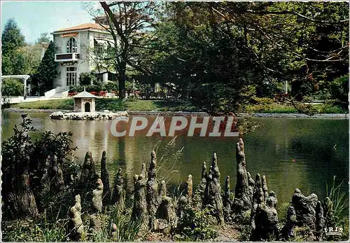 Cartes postales moderne Marseille B du R Le Parc Borely Le Lac