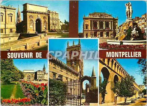 Cartes postales moderne Montpellier Herault Arc de Triomphe Place de la Cathedrale