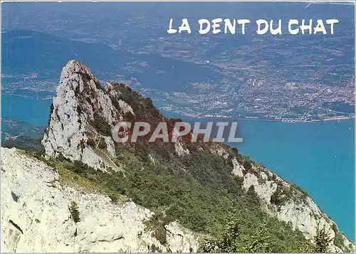 Cartes postales moderne Dominant le Lac du Bourget Savoie La Dent du Chat face a Aix les Bains