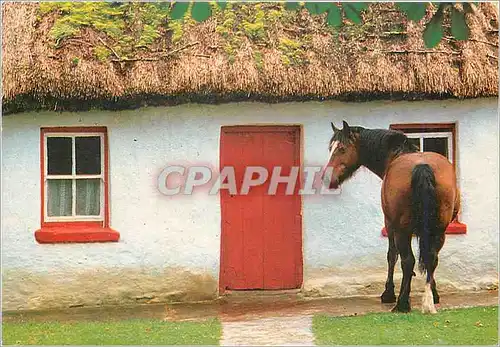 Cartes postales moderne Cottage near Kinvara Co Galway