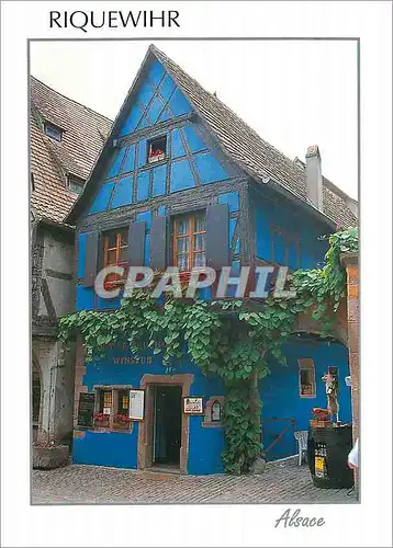 Cartes postales moderne Riquewihr Alsace Haut Rhin