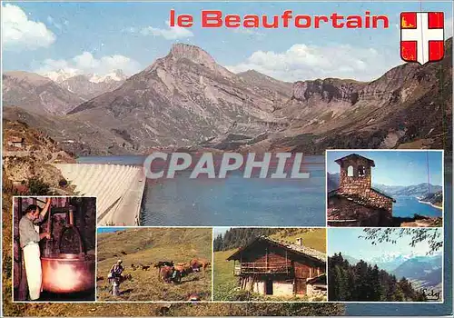 Cartes postales moderne Le Beaufortain Savoie Fabrication de Beaufort L'Heure de la traite