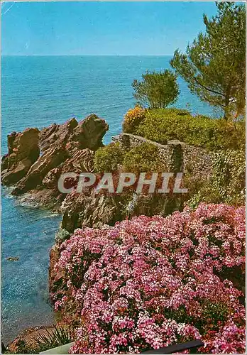 Cartes postales moderne Cote d'Azur French Riviera Bord de mer fleuri