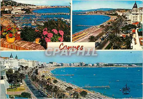 Cartes postales moderne La Cote d'Azur Cannes Le Port et la Croisette