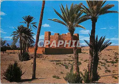 Cartes postales moderne Maroc Typique Casbah dans la Palmeraie