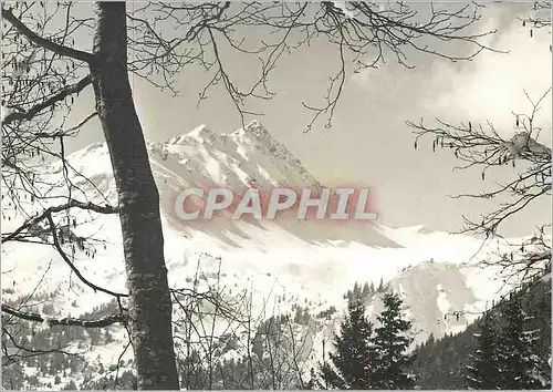 Cartes postales moderne Montagne