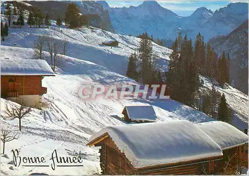 Cartes postales moderne Bonne Annee