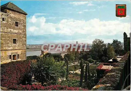 Cartes postales moderne Rabat Jardin