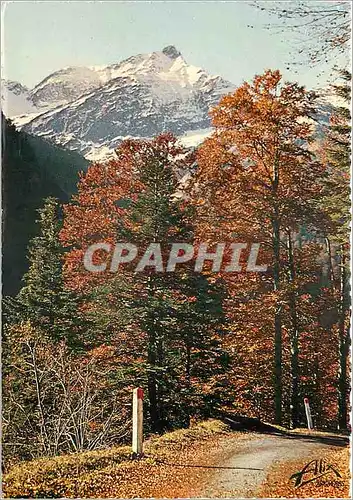 Cartes postales moderne Luchon Superbagneres La route de Superbagneres en automne Au fond le Pic de Sacroux