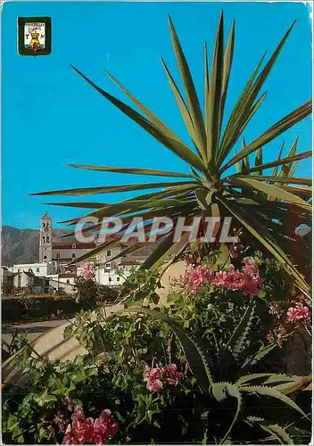 Cartes postales moderne Marbella Costa del Sol Un belle rincon